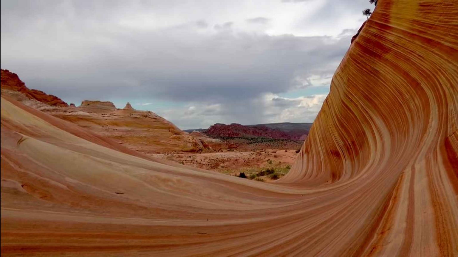 Trek The Wave in Vermilion Cliffs National Monument, Arizona this year ...